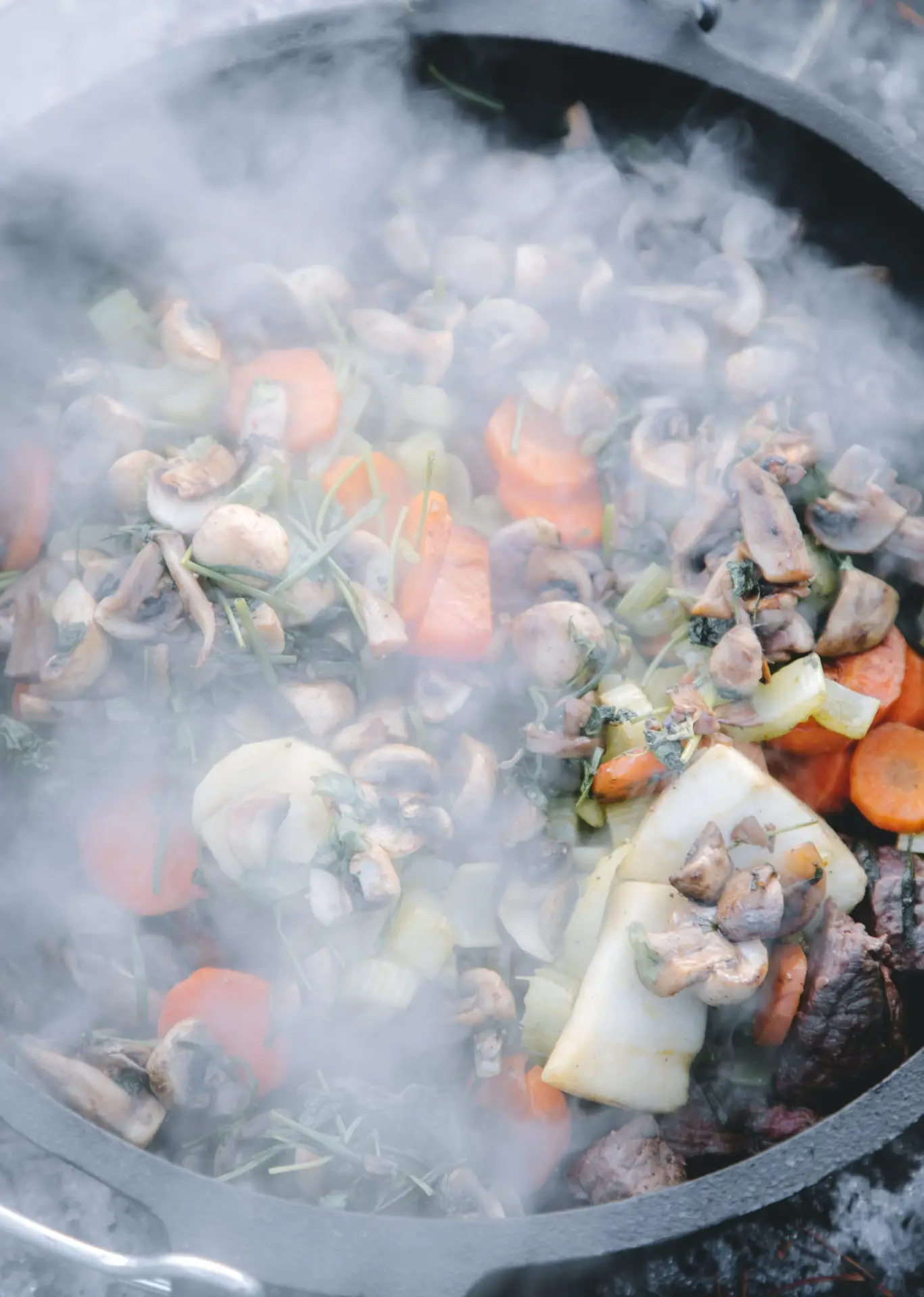 OUTDOOR COOKING - 15